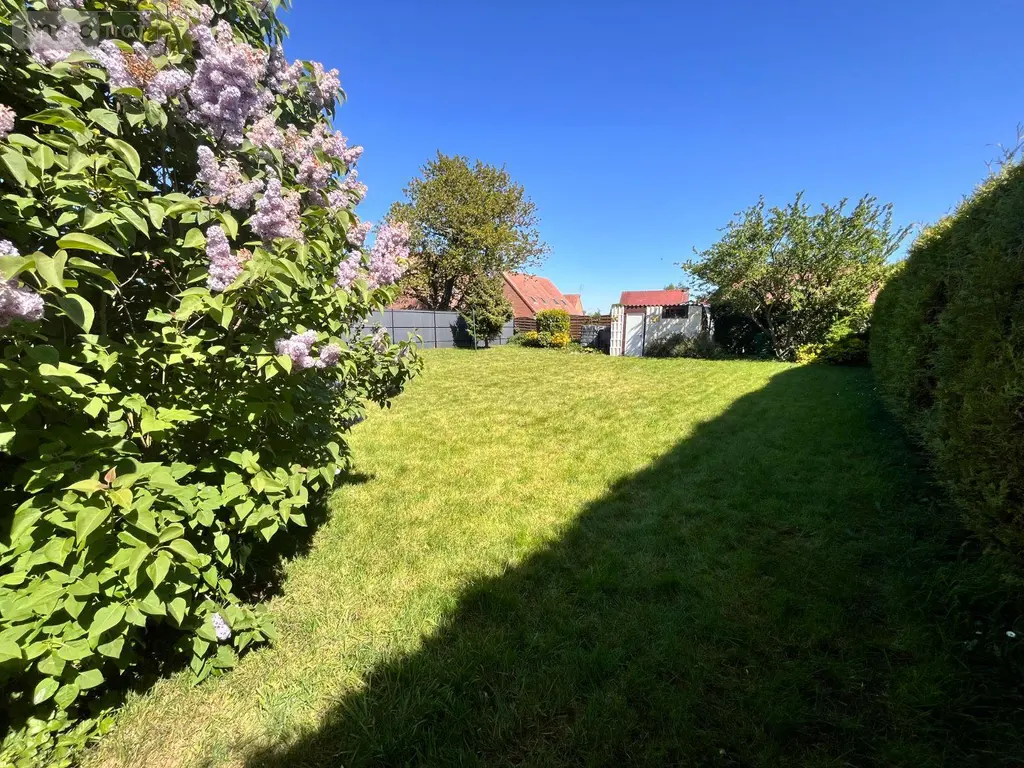 Maison a vendre Eecke 59114 Nord 59 100 m2 6 pièces 262500 euros 12984-11 002