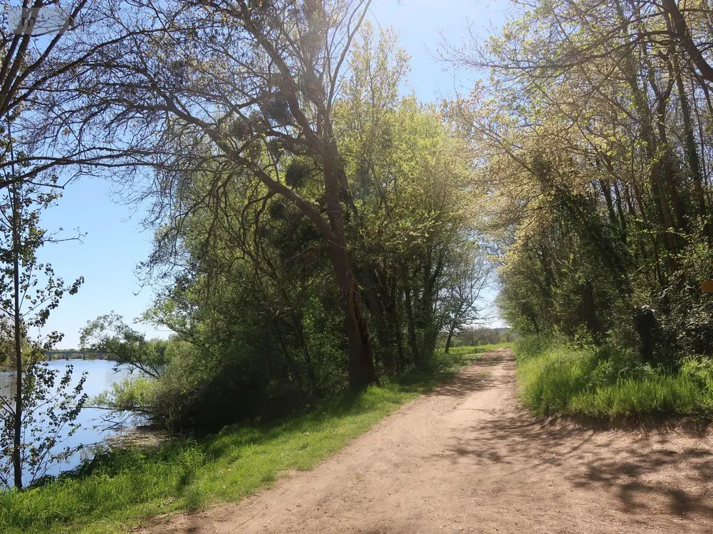 Terrains de loisirs bois etangs a vendre Vouneuil-sur-Vienne 86210 Vienne 86 9000 euros 86024-TEBE2453 001