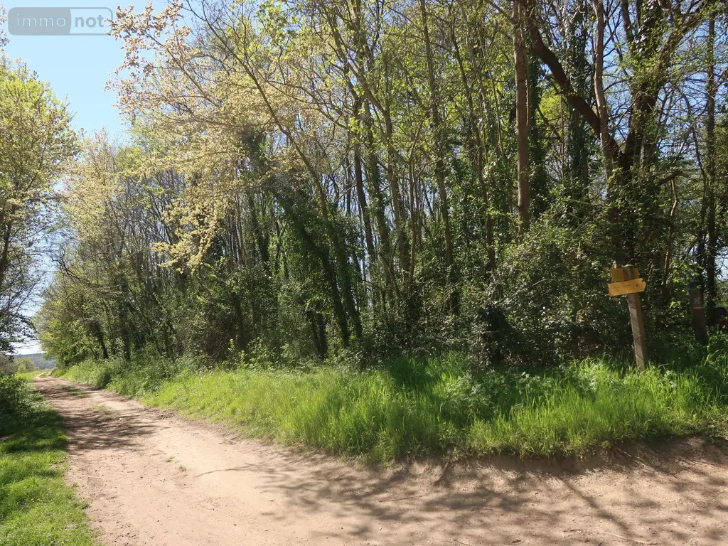 Terrains de loisirs bois etangs a vendre Vouneuil-sur-Vienne 86210 Vienne 86 9000 euros 86024-TEBE2453 003