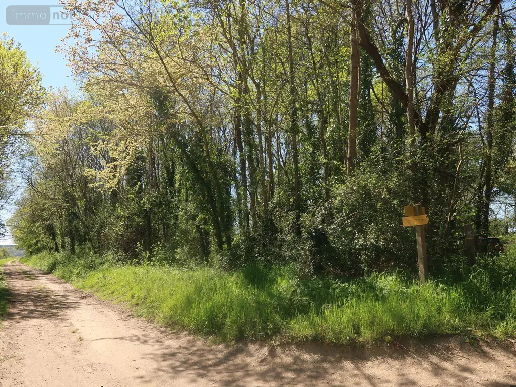 Terrains de loisirs bois etangs a vendre Vouneuil-sur-Vienne 86210 Vienne 86 9000 euros 86024-TEBE2453 005