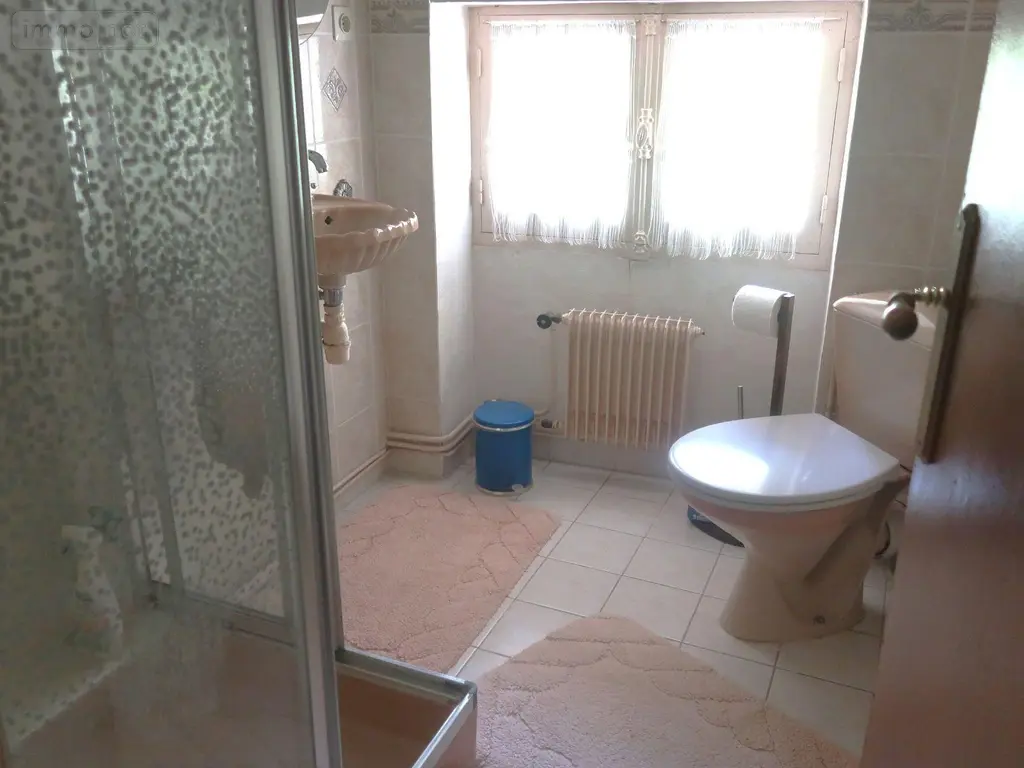 Maison a vendre Beaumont Saint-Cyr 86490 Vienne 86 225 m2 10 pièces 335360 euros 86024-MAIS2455 011