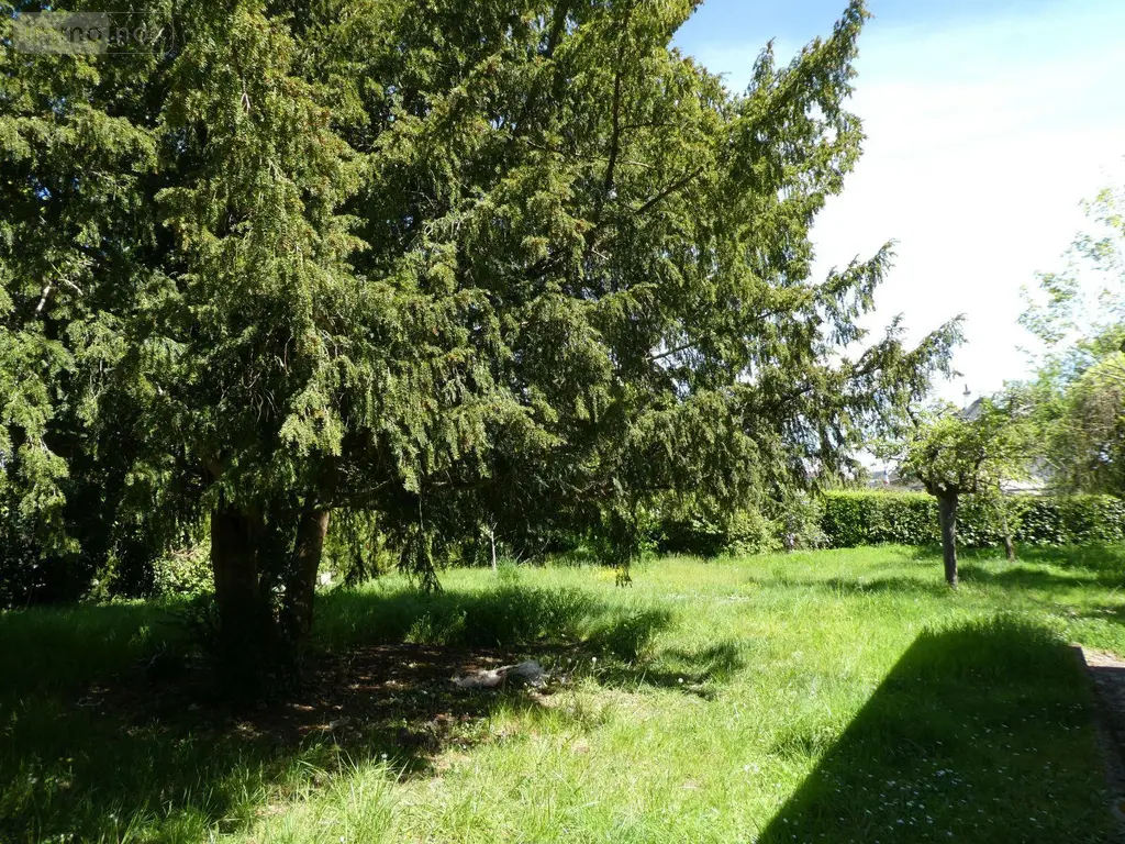 Maison a vendre Amboise 37400 Indre-et-Loire 37 76 m2 365690 euros 11893/507 010