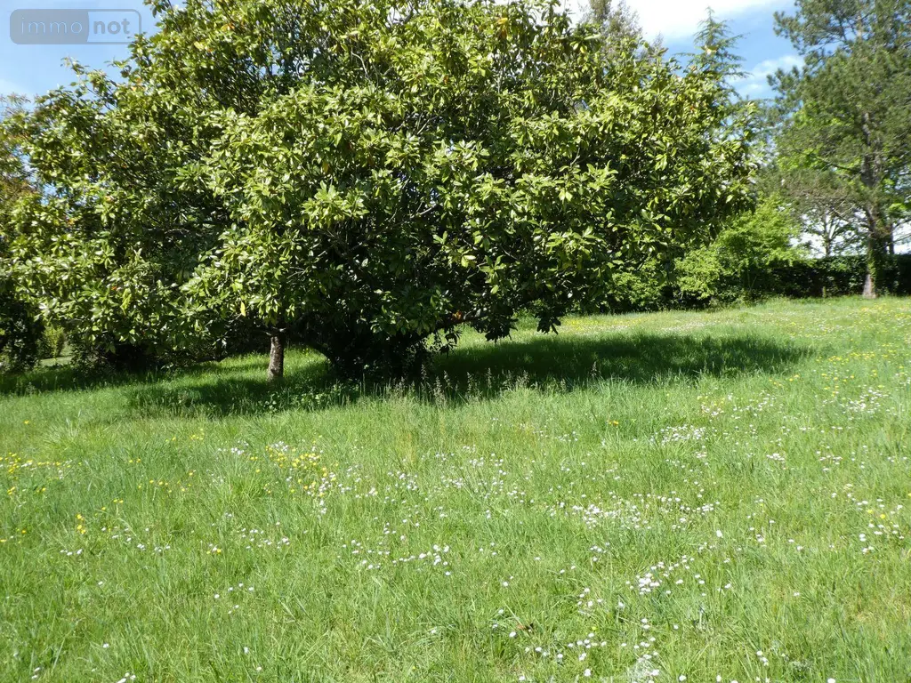 Maison a vendre Amboise 37400 Indre-et-Loire 37 76 m2 365690 euros 11893/507 011