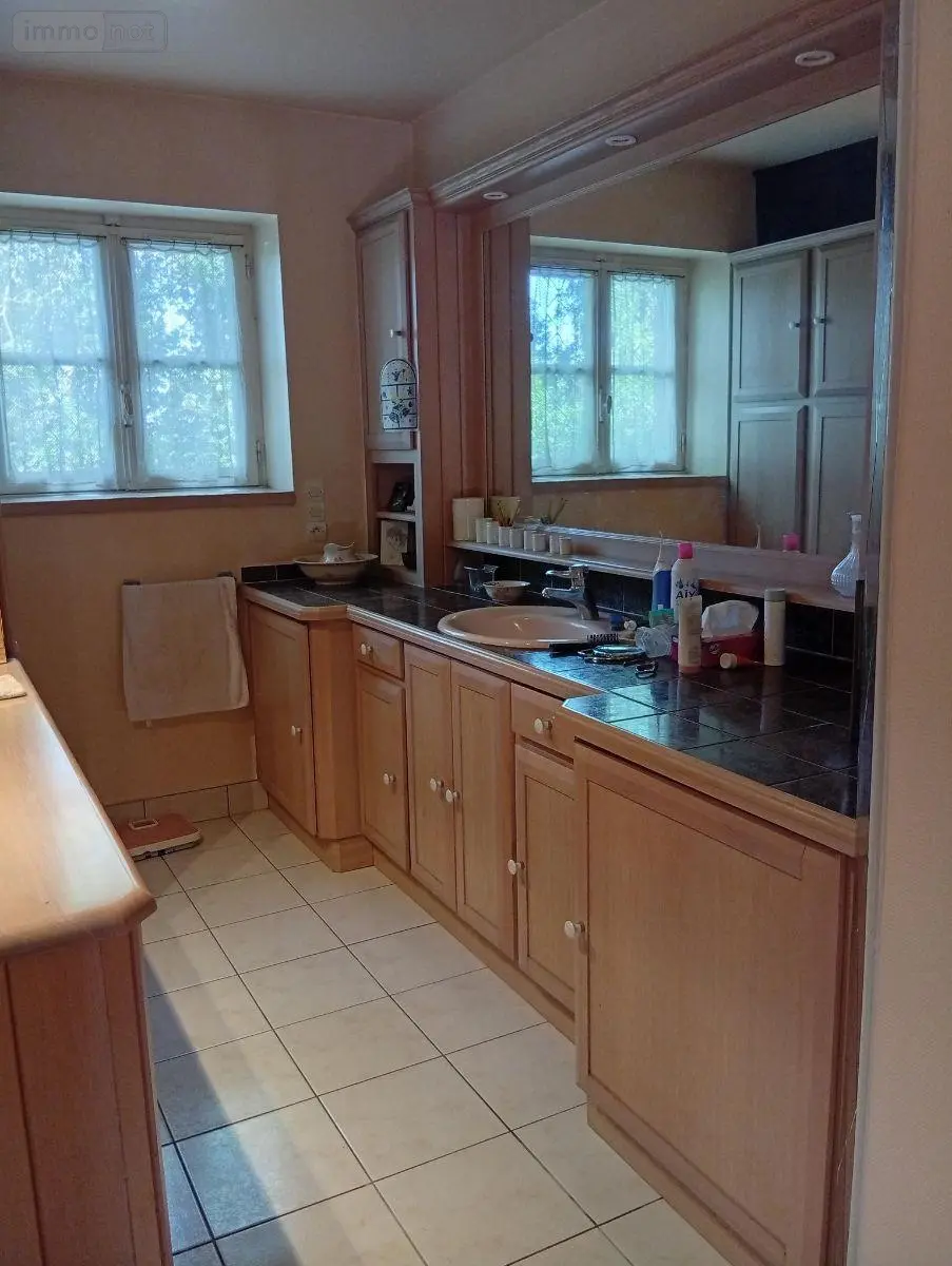 Propriete a vendre Beaugency 45190 Loiret 45 280 m2 11 pièces 356900 euros 091/1508 017