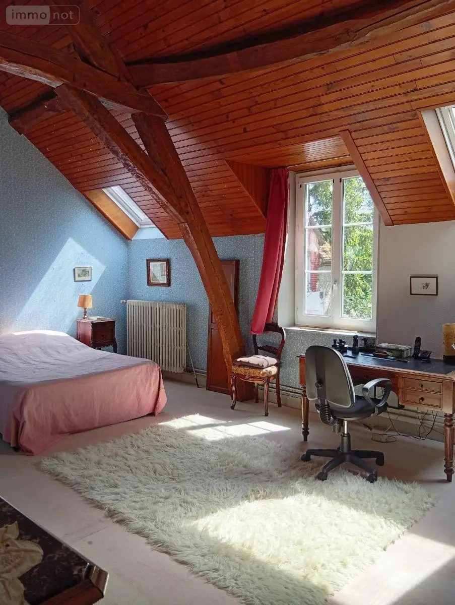 Propriete a vendre Beaugency 45190 Loiret 45 280 m2 11 pièces 356900 euros 091/1508 023