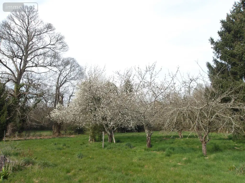 Propriete a vendre Bétête 23270 Creuse 23 152 m2 127920 euros 23010-113692 034