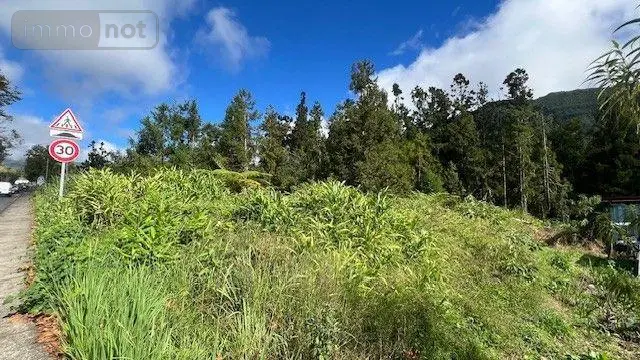 Terrain a batir a vendre La Plaine-des-Palmistes 97431 La Réunion 974 1368 m2 190000 euros 97404/25 001