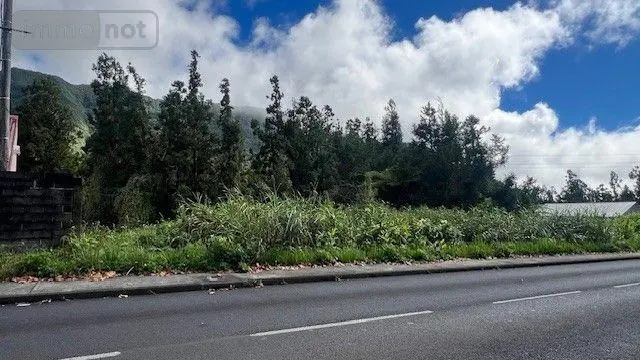 Terrain a batir a vendre La Plaine-des-Palmistes 97431 La Réunion 974 1368 m2 190000 euros 97404/25 004