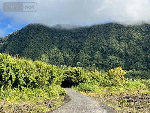 Terrain a batir a vendre La Plaine-des-Palmistes 97431 La Réunion 974 1368 m2 190000 euros 97404/25 002