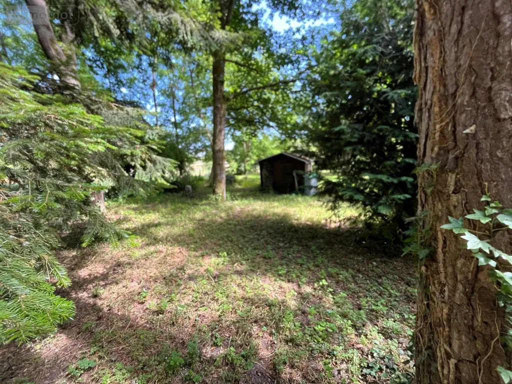 Terrains de loisirs bois etangs a vendre Larchant 77760 Seine-et-Marne 77 20 m2 99000 euros 161 002