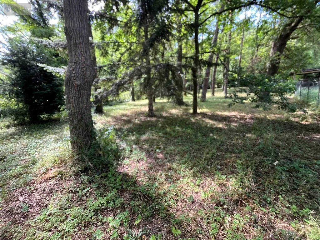 Terrains de loisirs bois etangs a vendre Larchant 77760 Seine-et-Marne 77 20 m2 99000 euros 161 006