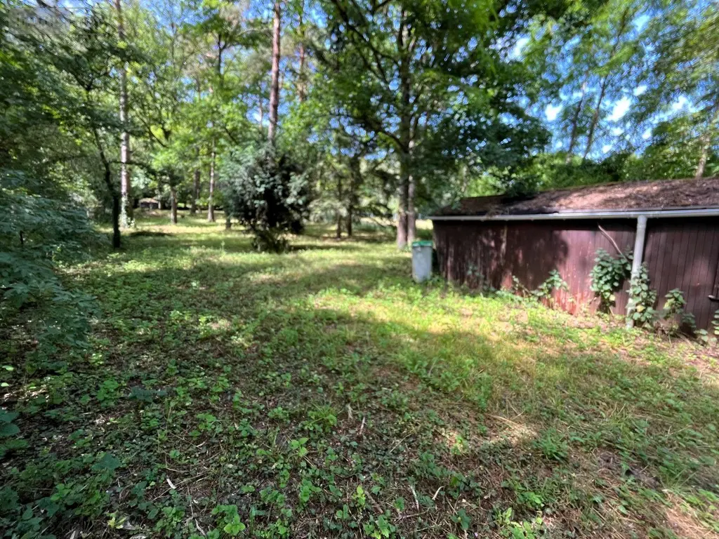 Terrains de loisirs bois etangs a vendre Larchant 77760 Seine-et-Marne 77 20 m2 99000 euros 161 007