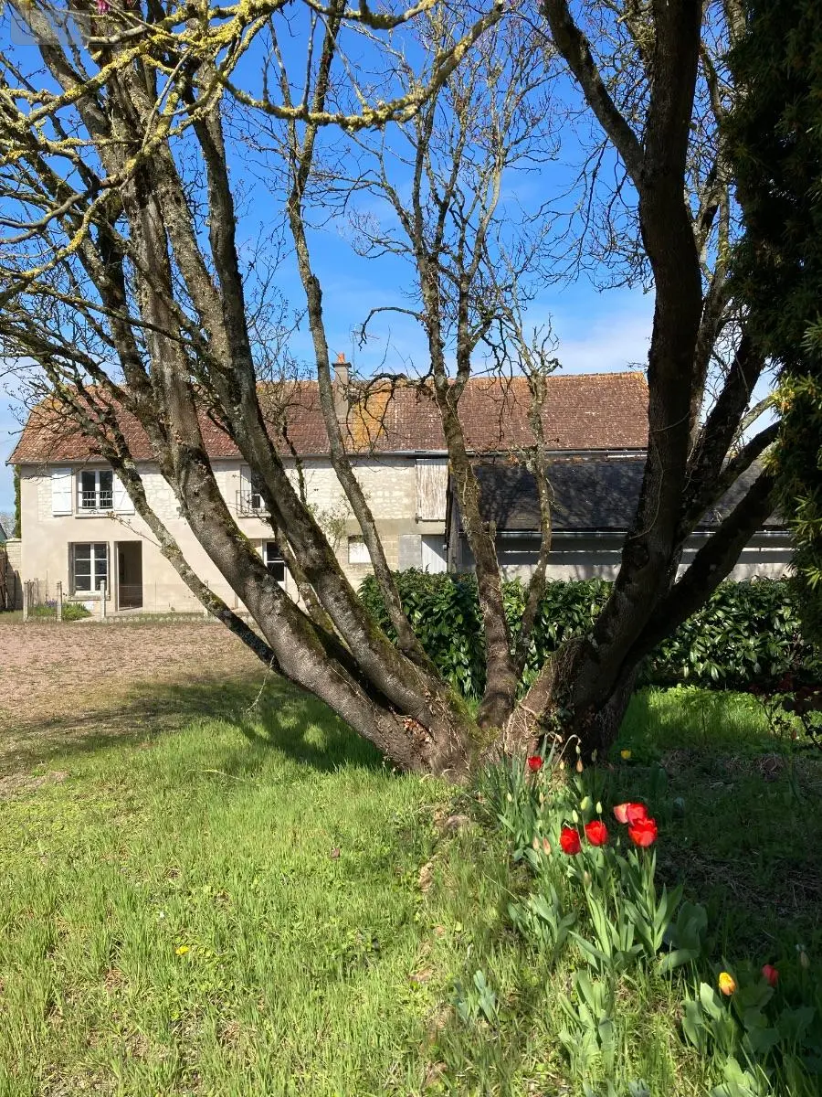Maison a vendre Ligré 37500 Indre-et-Loire 37 170 m2 6 pièces 243200 euros 37049-136 011