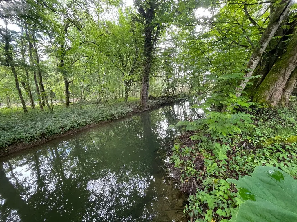 Terrains de loisirs bois etangs a vendre Villedieu 21330 Côte-d'Or 21 13600 euros 1758 002