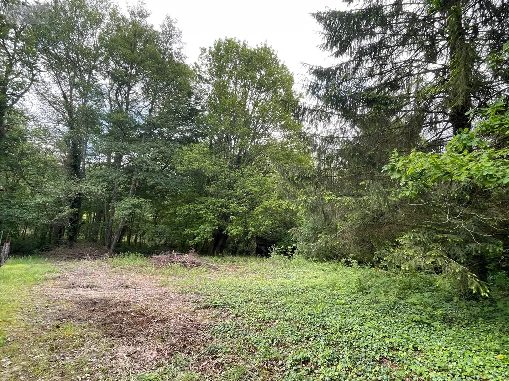 Terrains de loisirs bois etangs a vendre Villedieu 21330 Côte-d'Or 21 13600 euros 1758 003