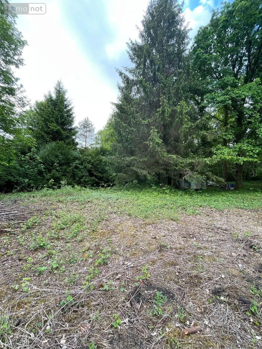 Terrains de loisirs bois etangs a vendre Villedieu 21330 Côte-d'Or 21 13600 euros 1758 004