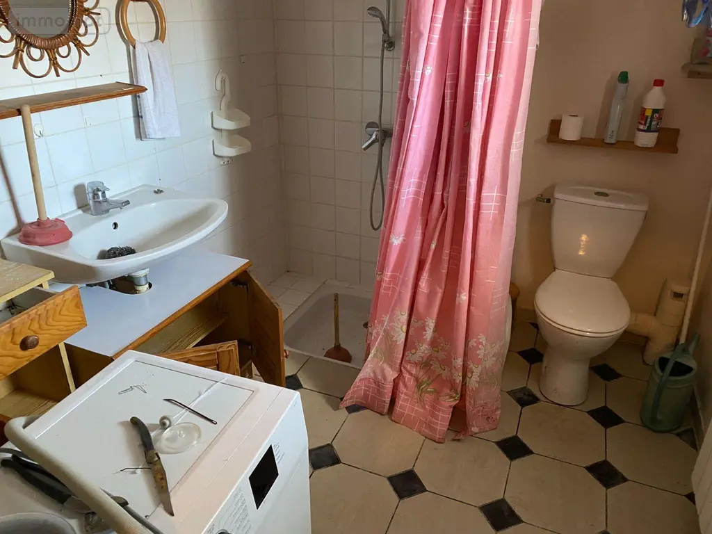 Maison a vendre Mézières-en-Brenne 36290 Indre 36 64 m2 3 pièces 75400 euros 1047582 006