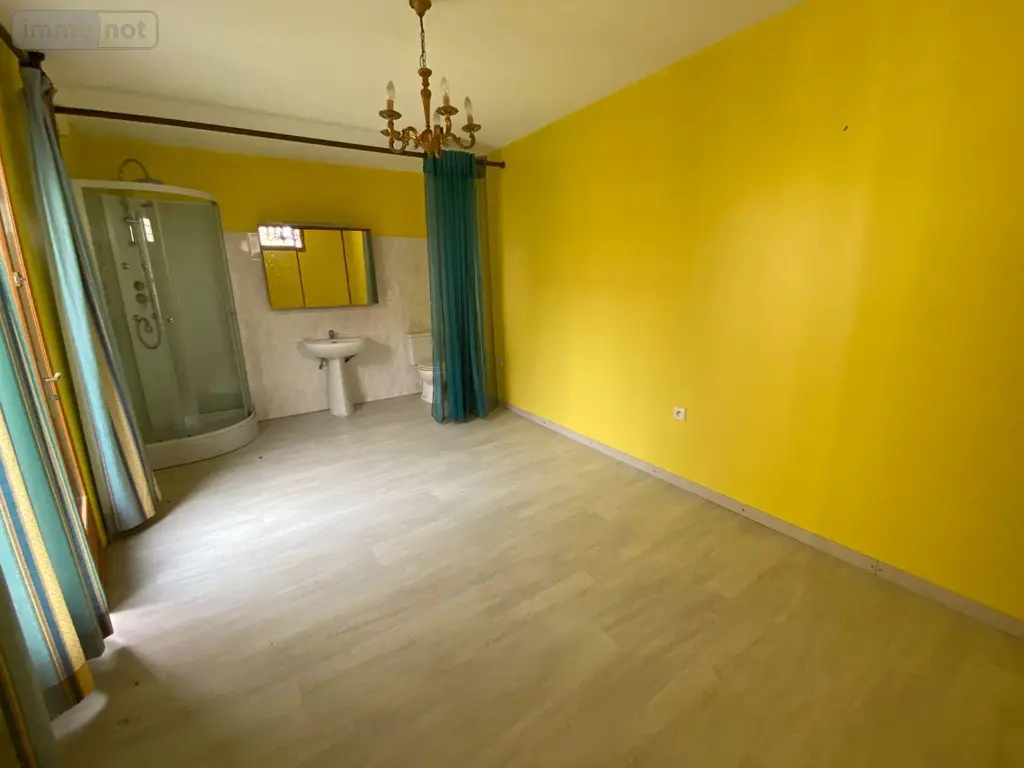 Maison a vendre Saint-Genou 36500 Indre 36 98 m2 5 pièces 117800 euros 1048834 057