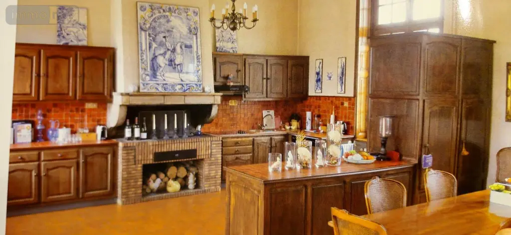 Propriete a vendre Saint-Jean-sur-Reyssouze 01560 Ain 01 350 m2 11 pièces 2781000 euros YM869 004