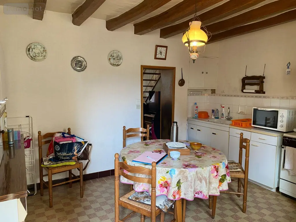 Maison a vendre Châtillon-sur-Indre 36700 Indre 36 53 m2 3 pièces 43600 euros 1052461 002