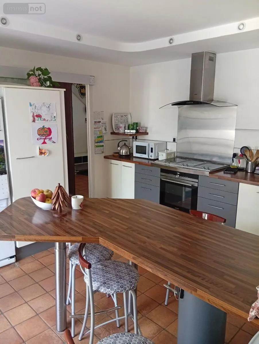 Maison a vendre Messas 45190 Loiret 45 194 m2 8 pièces 309700 euros 091/1510 013