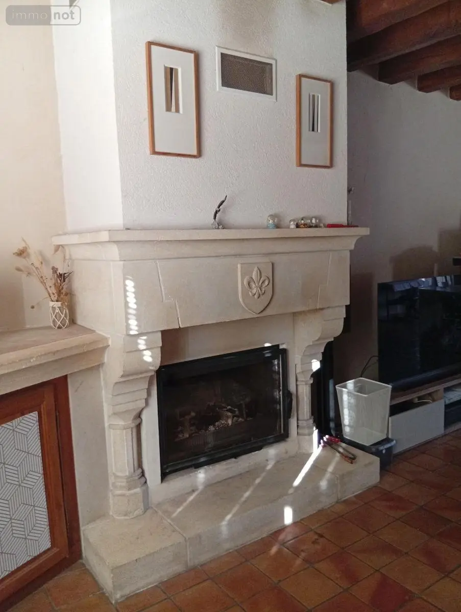 Maison a vendre Messas 45190 Loiret 45 194 m2 8 pièces 309700 euros 091/1510 017