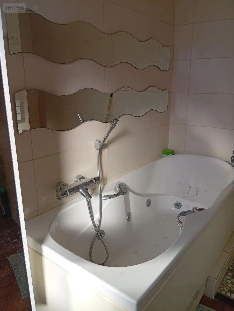 Maison a vendre Messas 45190 Loiret 45 194 m2 8 pièces 309700 euros 091/1510 021