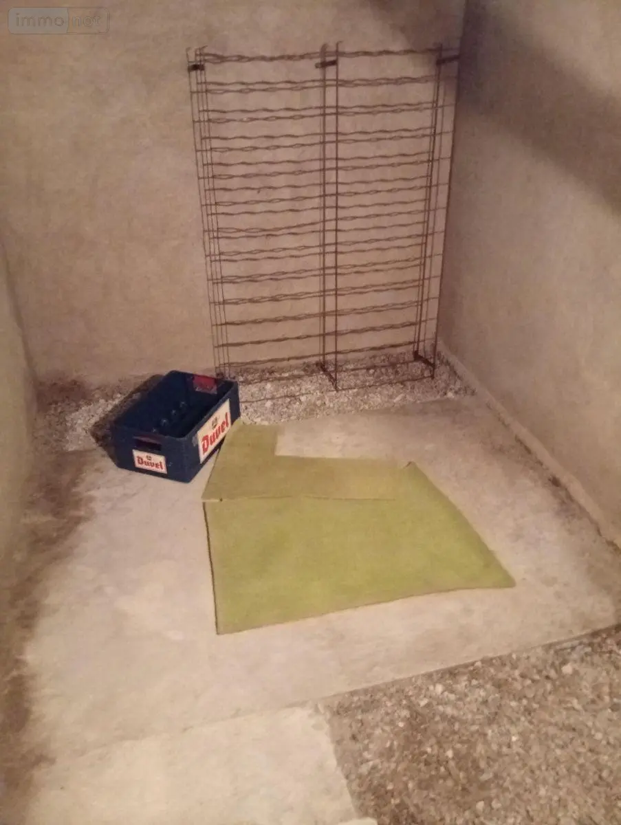 Maison a vendre Messas 45190 Loiret 45 194 m2 8 pièces 309700 euros 091/1510 030
