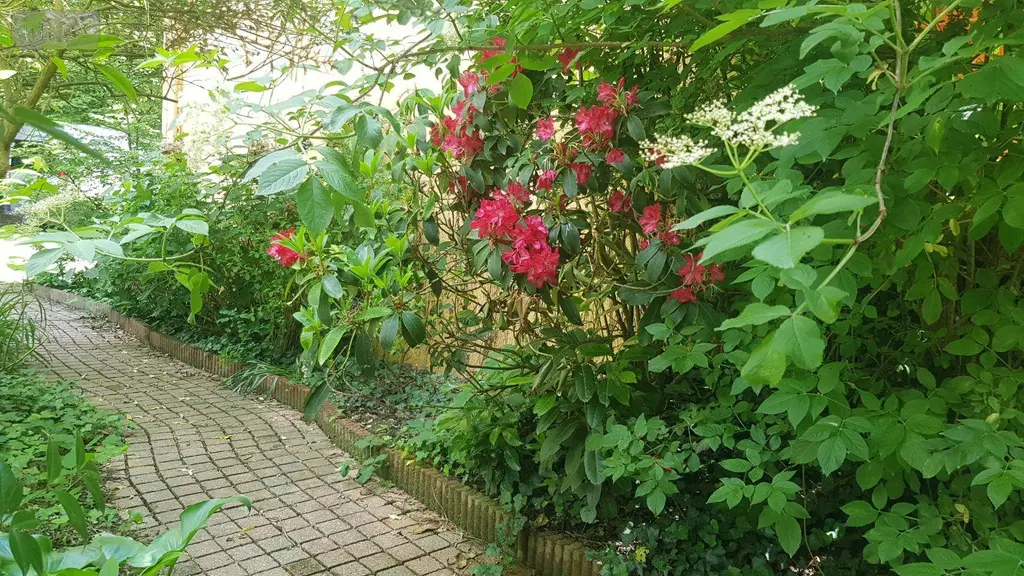 Maison a vendre Châtres-sur-Cher 41320 Loir-et-Cher 41 105 m2 5 pièces 231880 euros 41036/3193 005