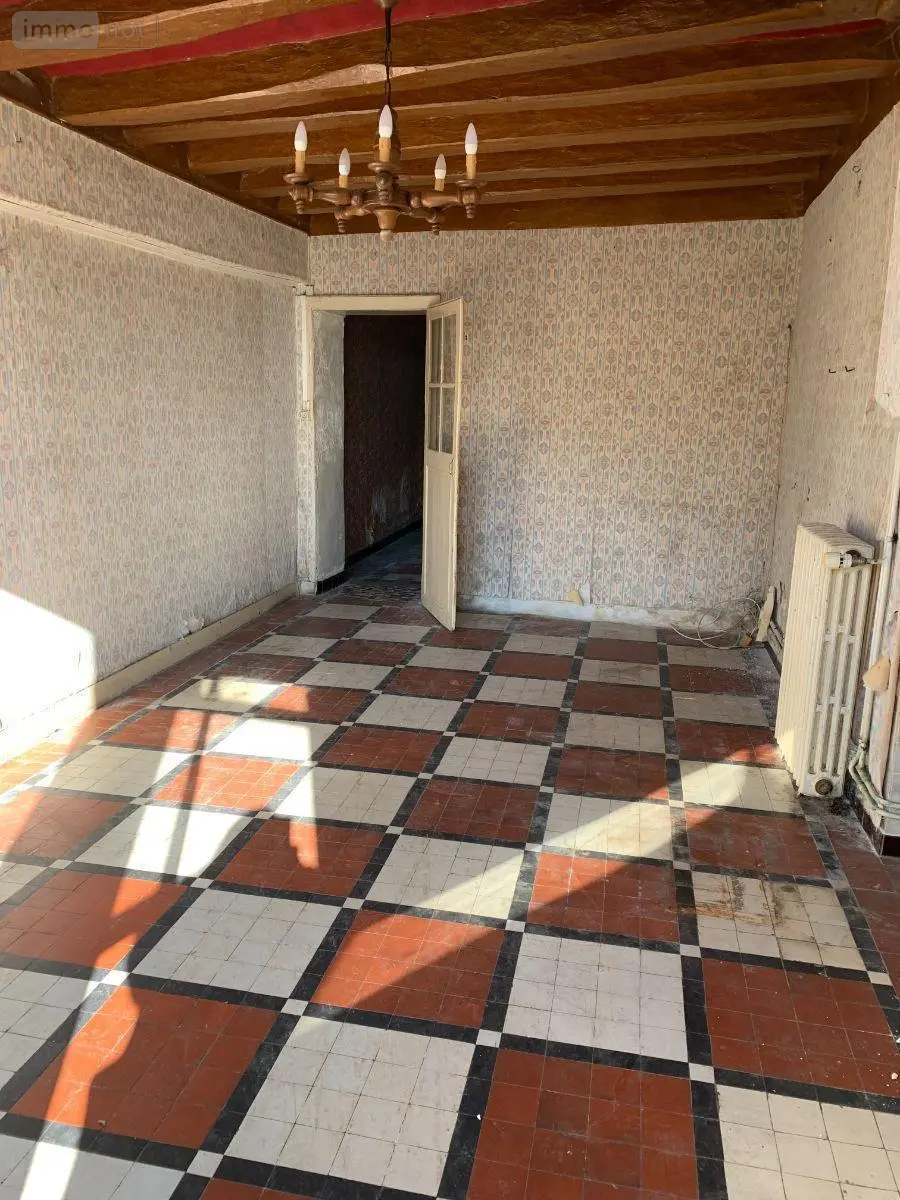Maison a vendre Châtillon-sur-Indre 36700 Indre 36 77 m2 6 pièces 30800 euros 1052541 003
