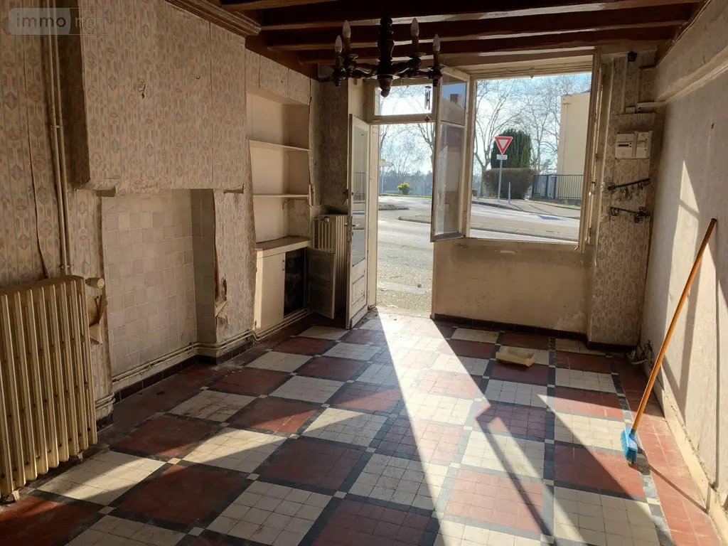 Maison a vendre Châtillon-sur-Indre 36700 Indre 36 77 m2 6 pièces 30800 euros 1052541 017