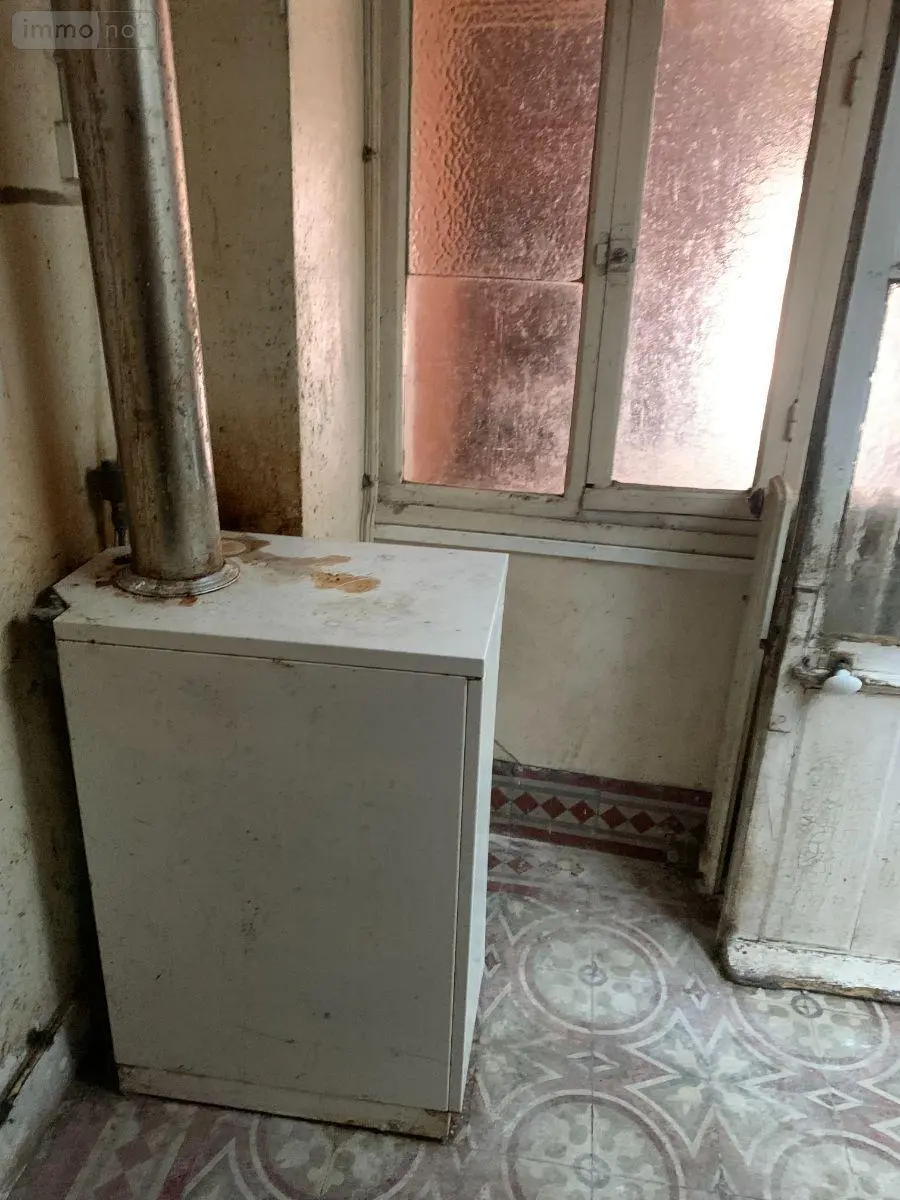 Maison a vendre Châtillon-sur-Indre 36700 Indre 36 77 m2 6 pièces 30800 euros 1052541 018