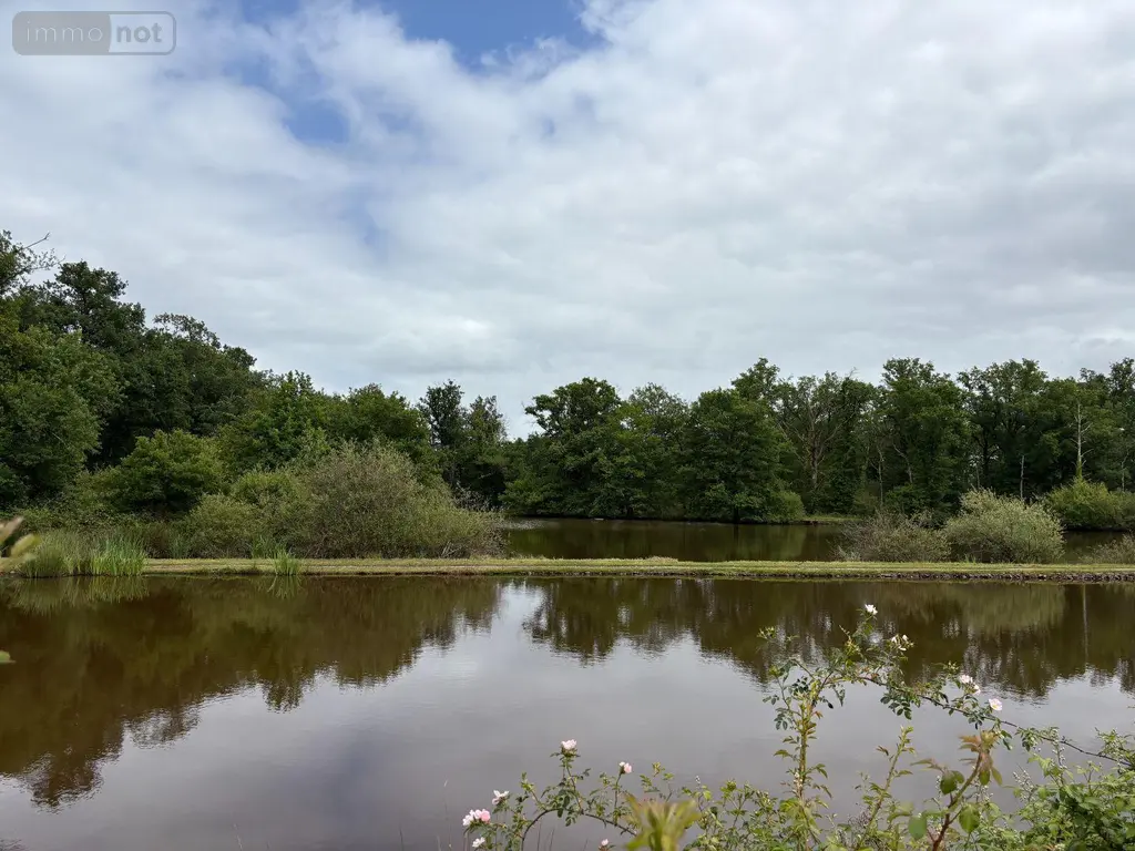 Terrains de loisirs bois etangs a vendre Migné 36800 Indre 36 115 m2 546000 euros 037/2730 002