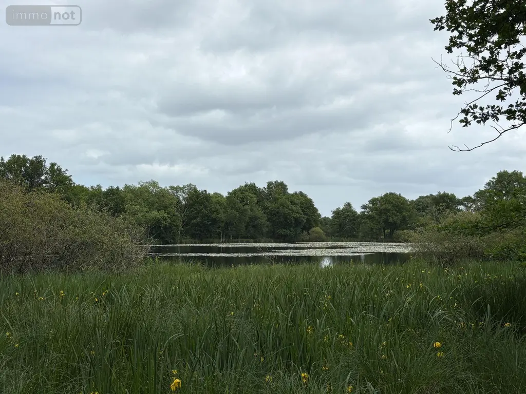 Terrains de loisirs bois etangs a vendre Migné 36800 Indre 36 115 m2 546000 euros 037/2730 004