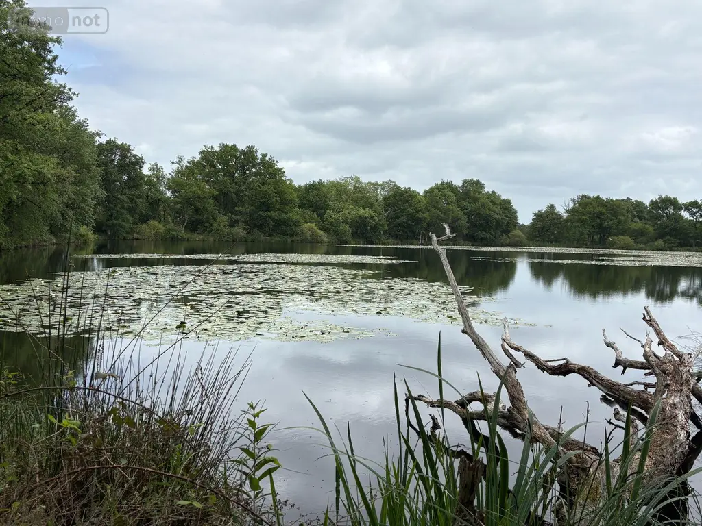 Terrains de loisirs bois etangs a vendre Migné 36800 Indre 36 115 m2 546000 euros 037/2730 005