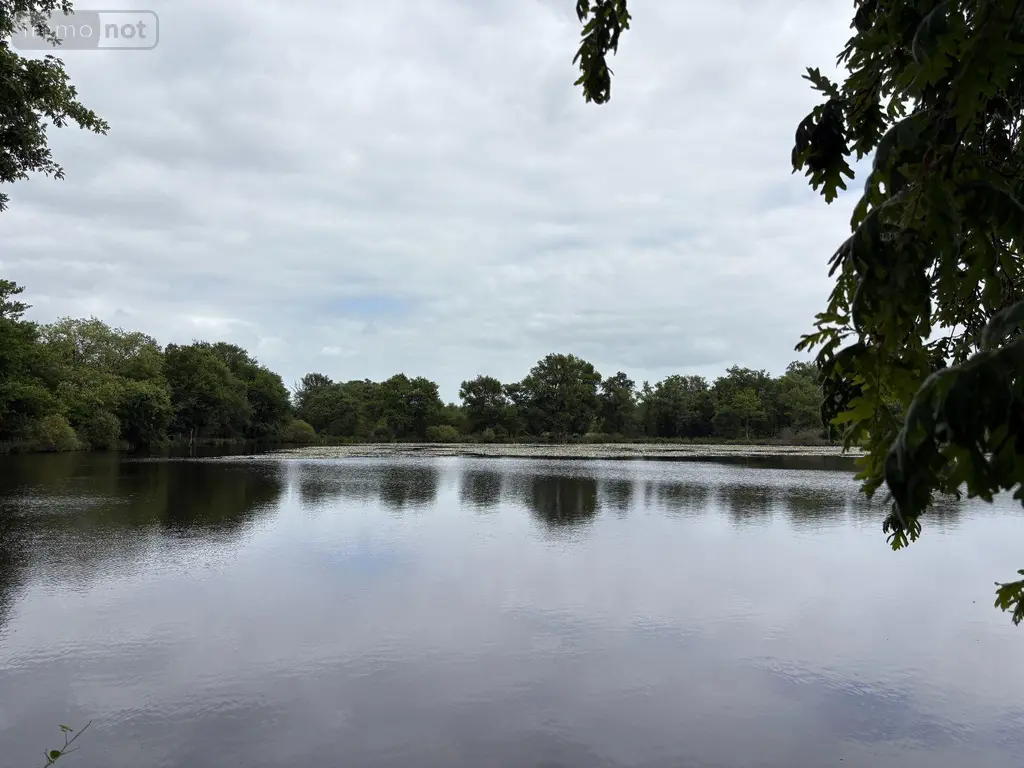 Terrains de loisirs bois etangs a vendre Migné 36800 Indre 36 115 m2 546000 euros 037/2730 006
