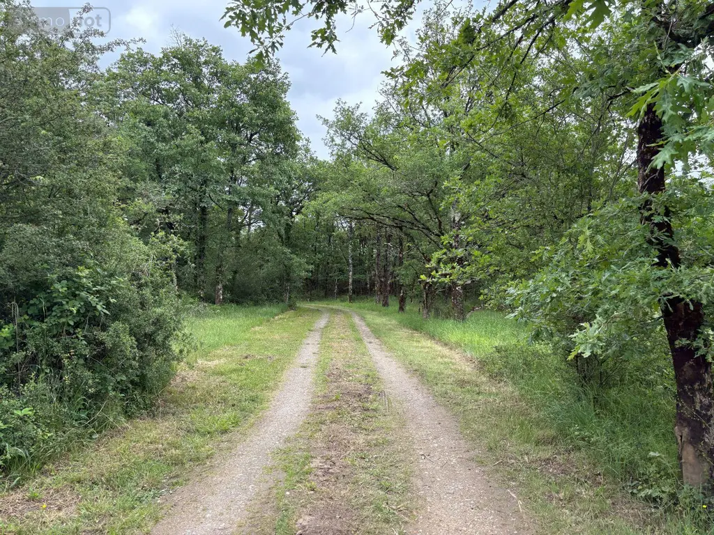 Terrains de loisirs bois etangs a vendre Migné 36800 Indre 36 115 m2 546000 euros 037/2730 008
