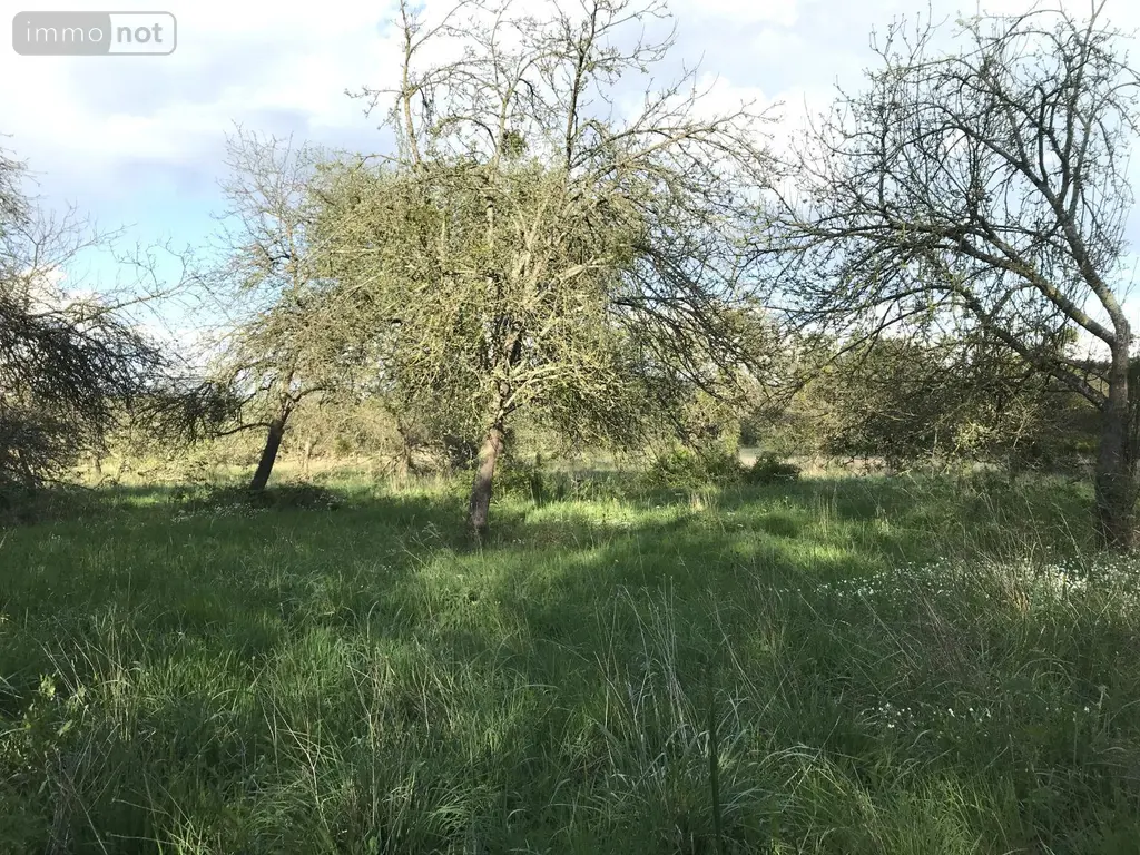 Bien agricole a vendre Courcemont 72110 Sarthe 72 7520 euros 079/2022 003