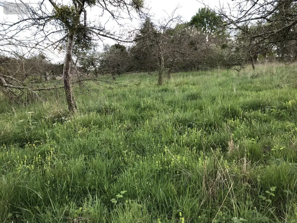 Bien agricole a vendre Courcemont 72110 Sarthe 72 7520 euros 079/2022 004