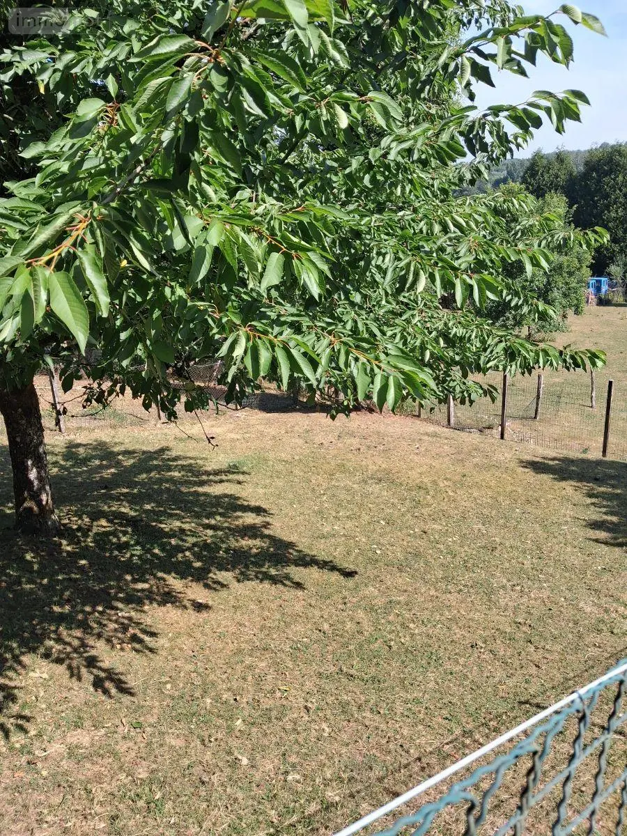 Maison a vendre Bayard-sur-Marne 52170 Haute-Marne 52 66 m2 6 pièces 117800 euros JO/1060 017