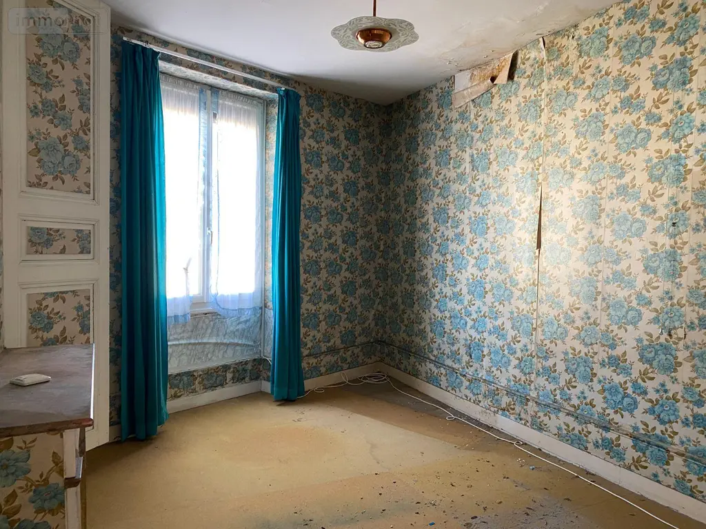 Maison a vendre Clion 36700 Indre 36 104 m2 6 pièces 33000 euros 1052478 010