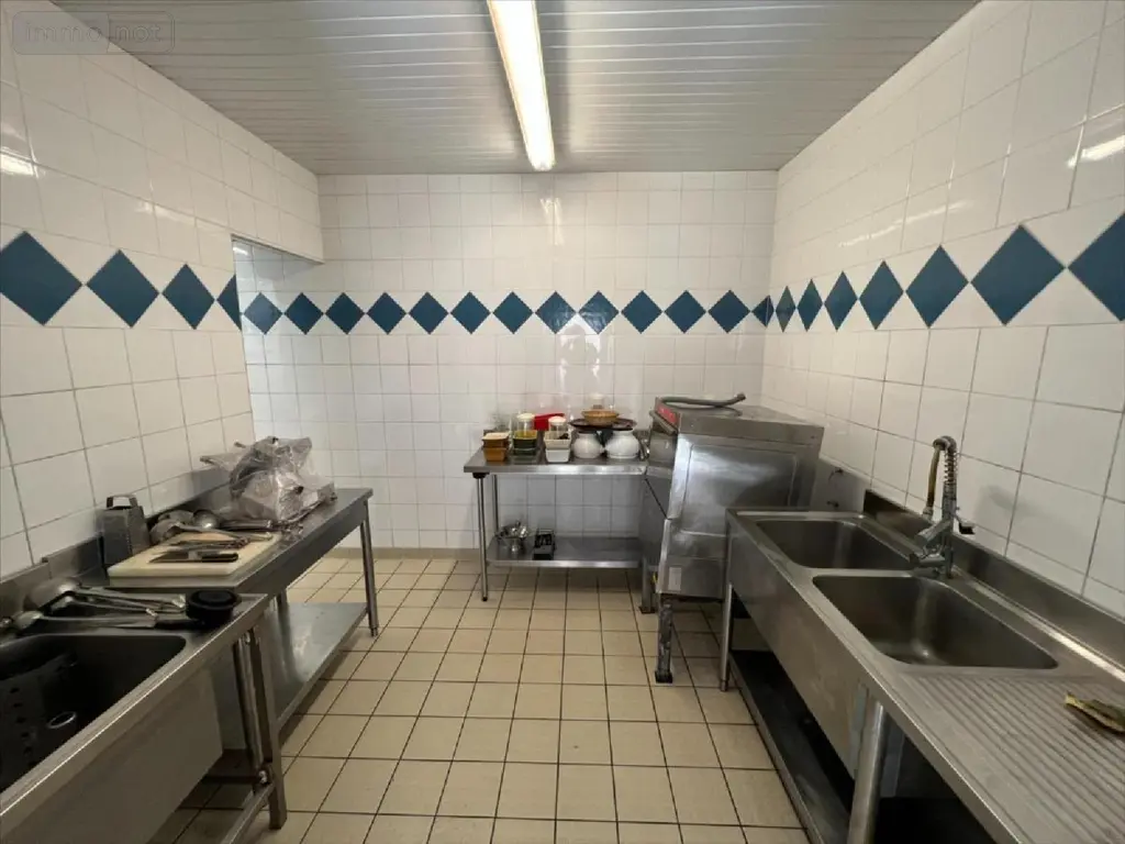 Immeuble de rapport a vendre Bias 40170 Landes 40 510 m2 366000 euros 40009-8 011