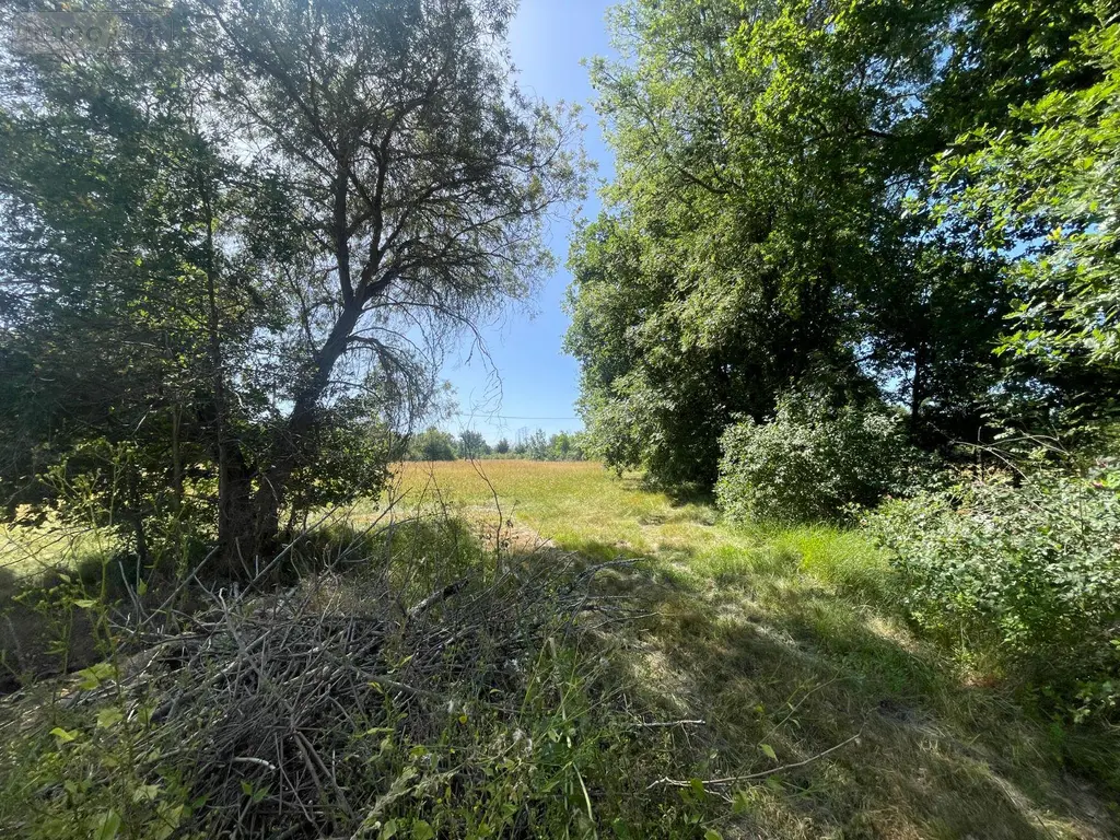 Maison a vendre Siorac-de-Ribérac 24600 Dordogne 24 214 m2 5 pièces 360120 euros 077/1734 048