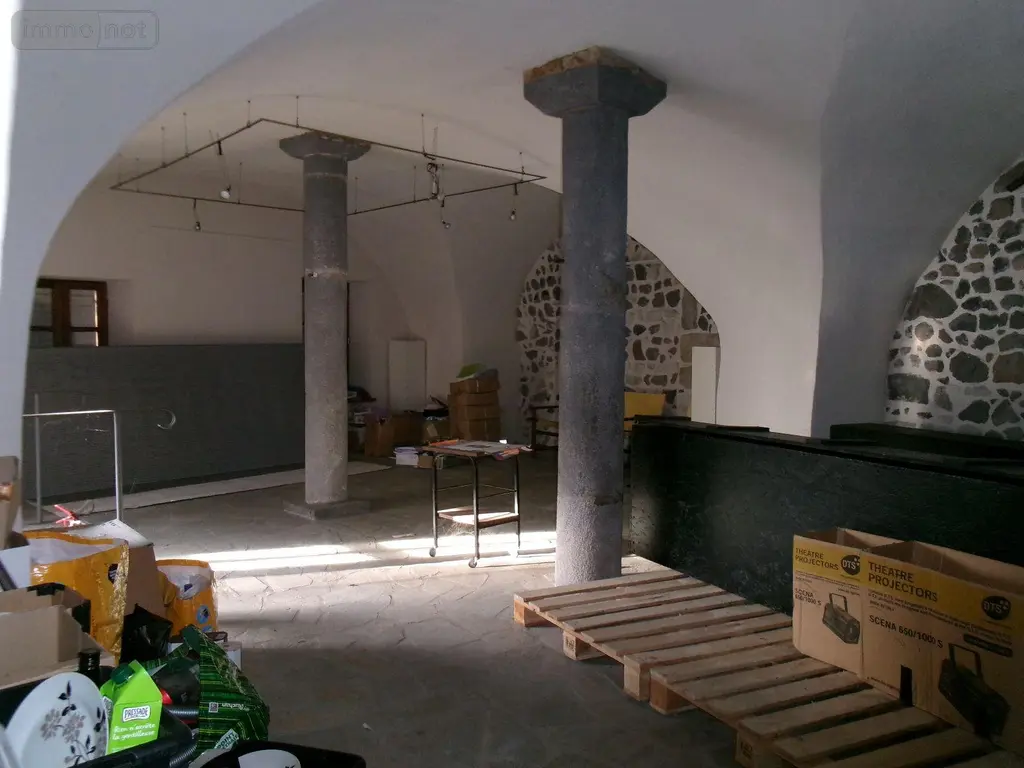 Immeuble de rapport a vendre Orbeil 63500 Puy-de-Dôme 63 150 m2 9 pièces 121800 euros 13385/180 004