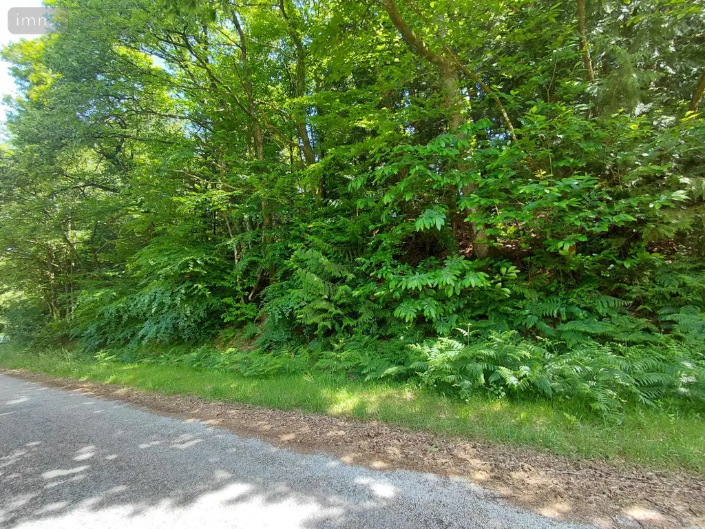 Maison a vendre Cléguérec 56480 Morbihan 56 67 m2 3 pièces 98580 euros 063-497 021