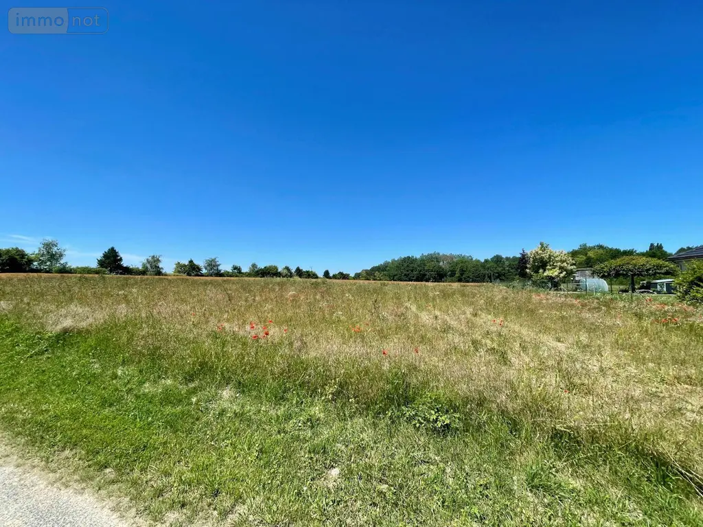 Terrain a batir a vendre Alincourt 08310 Ardennes 08 45300 euros 08018-TEBA-2252 002