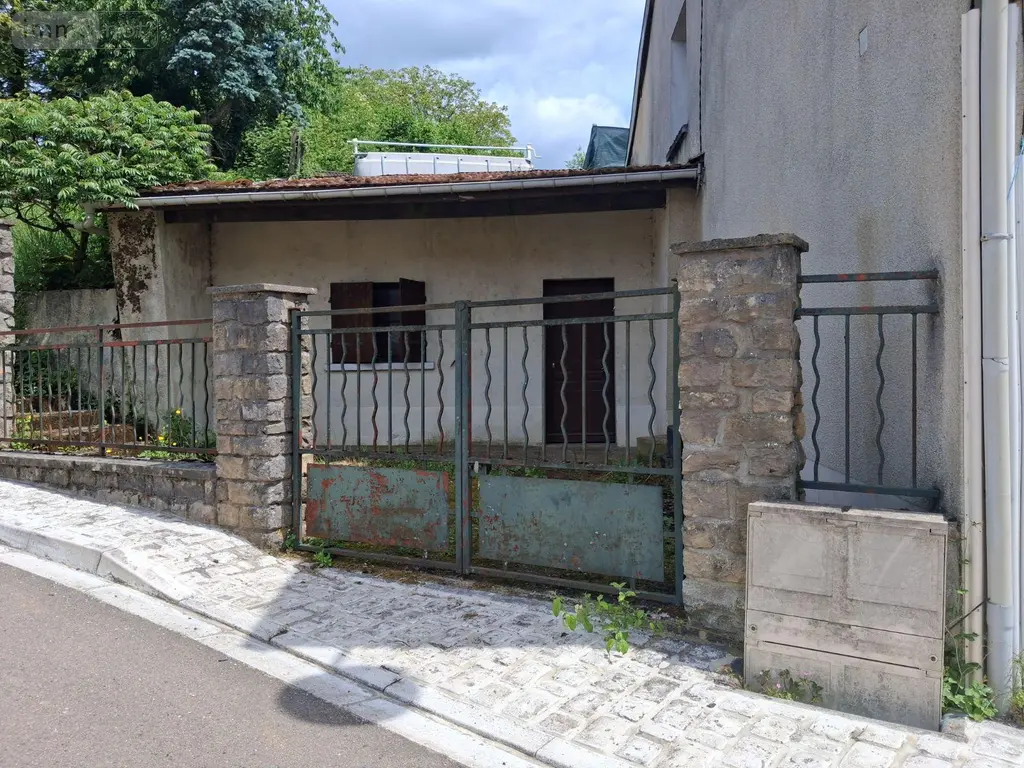 Maison a vendre Fontaines-sur-Marne 52170 Haute-Marne 52 48900 euros JO/1063 003