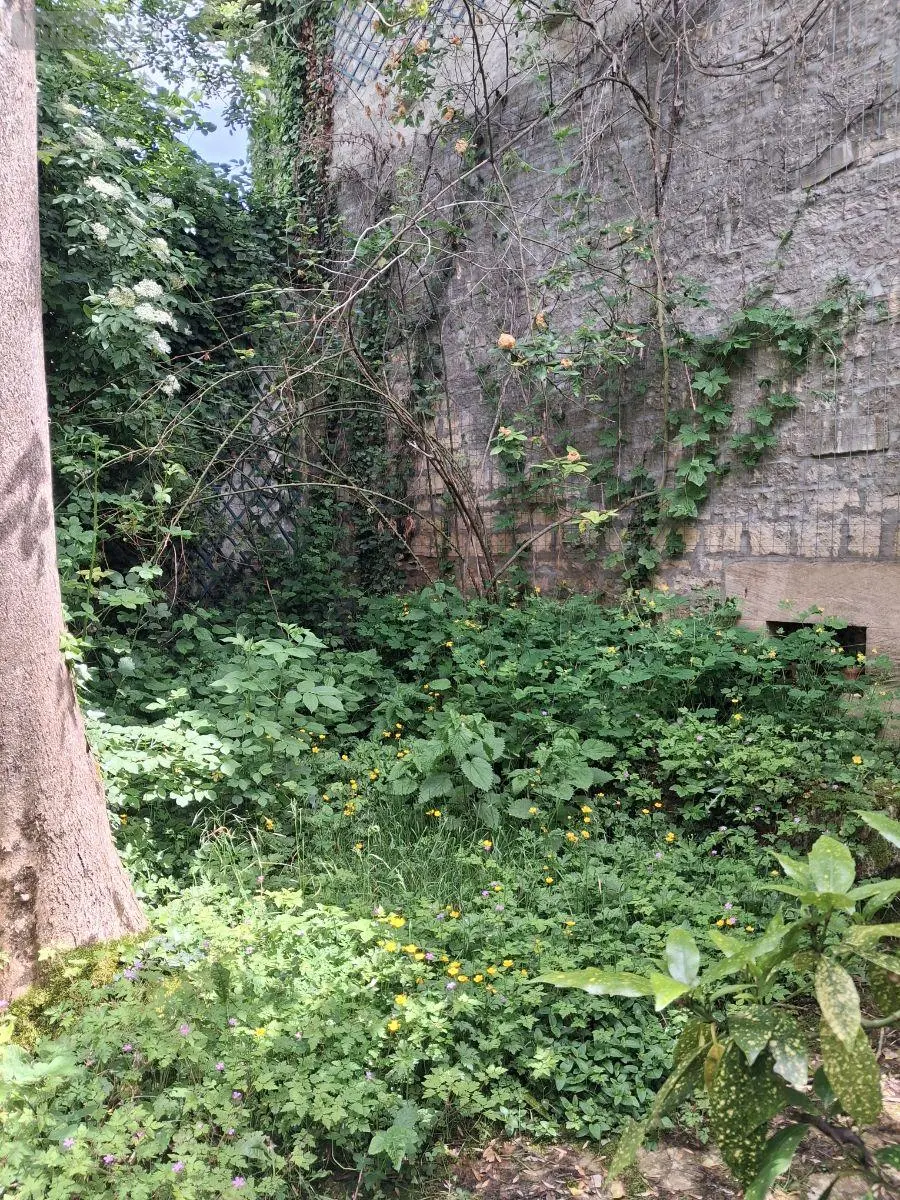 Maison a vendre Fontaines-sur-Marne 52170 Haute-Marne 52 48900 euros JO/1063 017