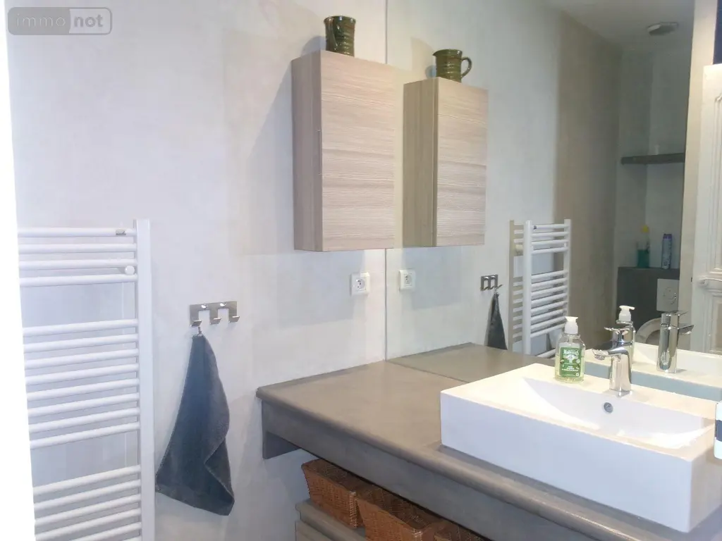 Appartement a vendre Issoire 63500 Puy-de-Dôme 63 83 m2 3 pièces 156000 euros 13385/181 009
