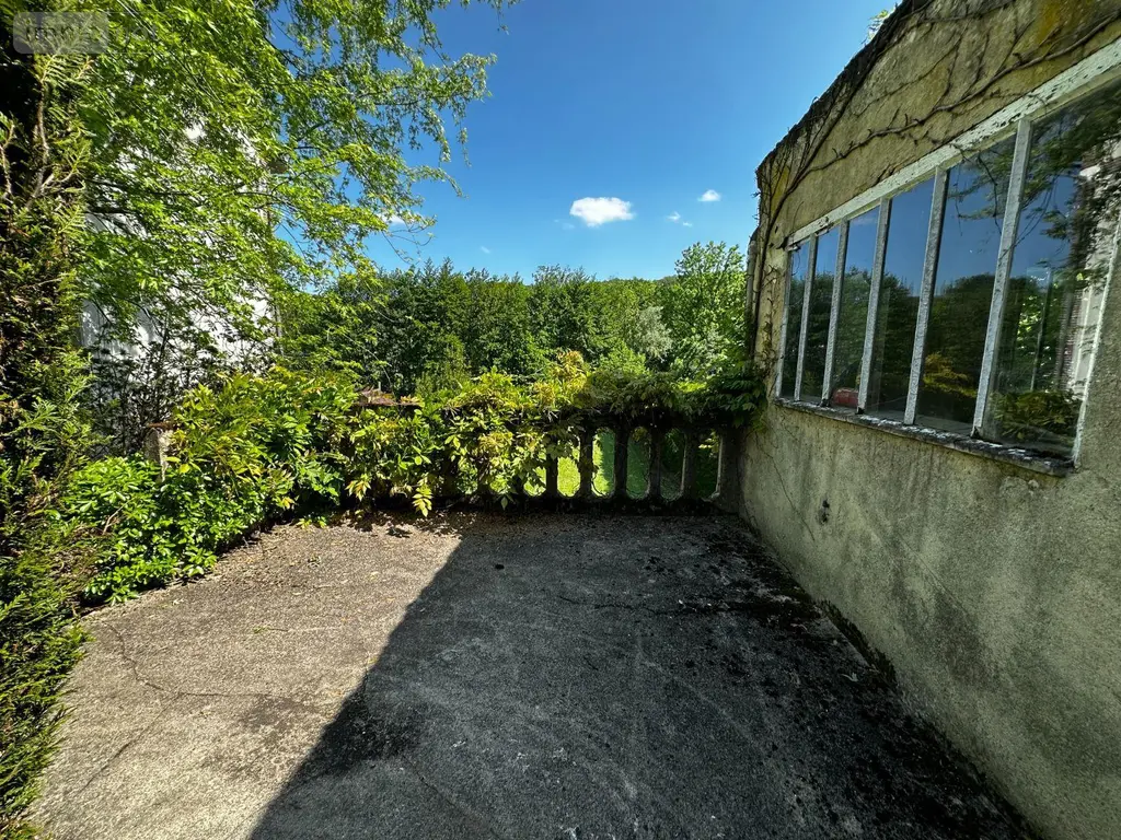 Maison a vendre Saint-Julien-du-Sault 89330 Yonne 89 160 m2 7 pièces 297000 euros 89062-125 042
